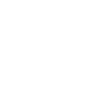 Business Model Features