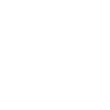 Business Model Features