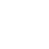 Business Model Features